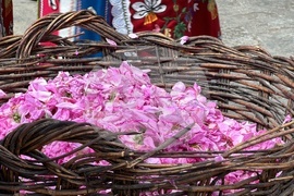 Казанлък - Музей на розата - розоварене