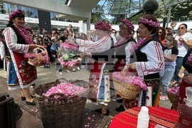 Казанлък - Музей на розата - розоварене
