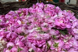 Казанлък - Музей на розата - розоварене