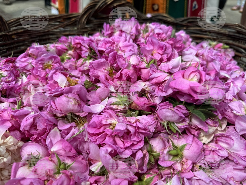 Казанлък - Музей на розата - розоварене