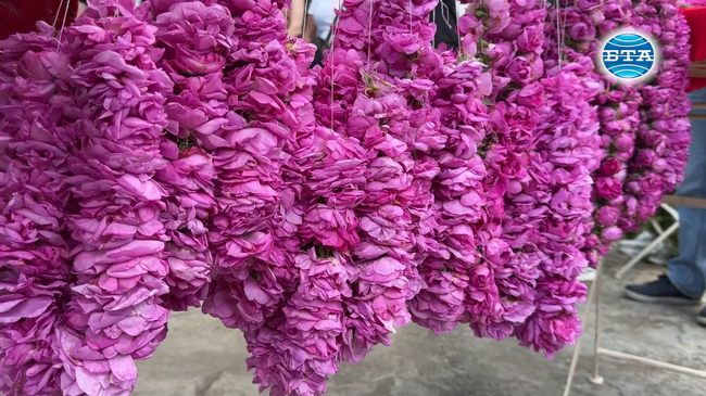 Представяне на автентичен ритуал по розоварене събра десетки гости в Музея на розата в Казанлък