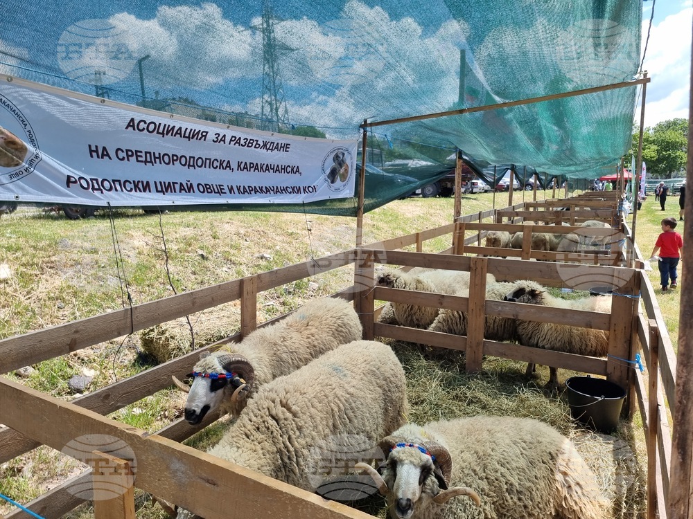 Момчилград - Фармфест - фермерски фестивал