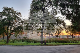 Видин - изгрев 