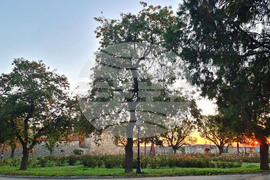 Видин - изгрев 