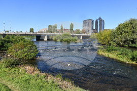 Пловдив - река Марица - почистване