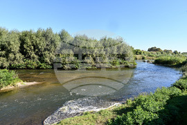 Пловдив - река Марица - почистване