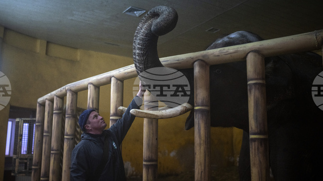 Зоопаркът в Киев се мъчи да осигури топлина за животните на фона на енергийна криза и минусови температури