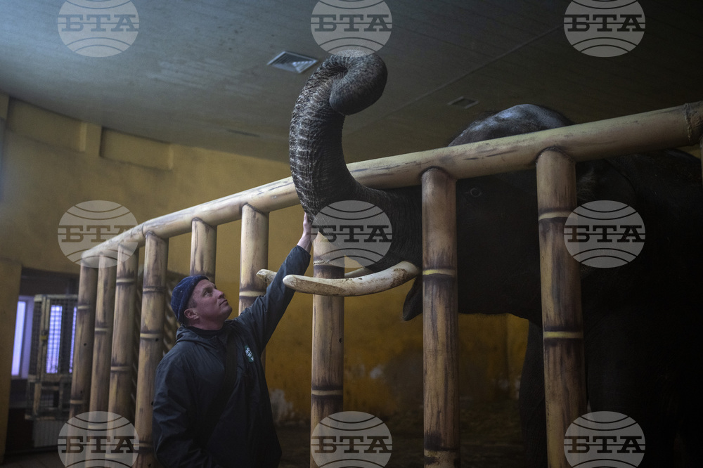 Зоопаркът в Киев се мъчи да осигури топлина за животните на фона на енергийна криза и минусови температури