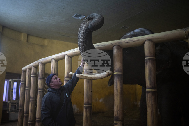 Зоопаркът в Киев се мъчи да осигури топлина за животните на фона на енергийна криза и минусови температури