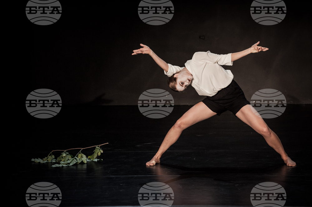 Alternative Theatre Festival Brings Together Artists from Several Countries in Sofia