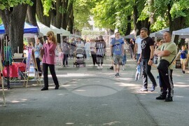 Видин - "На базар сме! В парка!" - инициатива