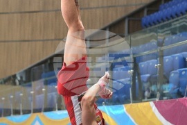 Варна - Световна купа по спортна гимнастика - Димитър Димитров