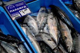 Бургас - паламуд