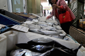 Бургас - паламуд