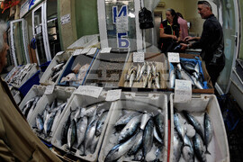 Бургас - паламуд