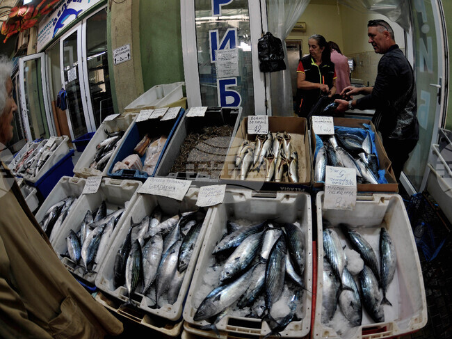 Бургас - паламуд