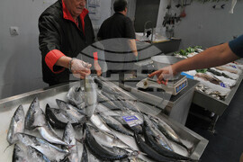 Бургас - паламуд