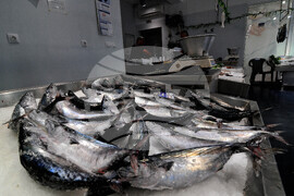 Бургас - паламуд