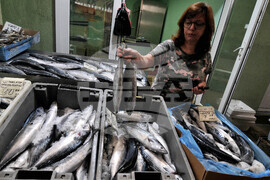 Бургас - паламуд