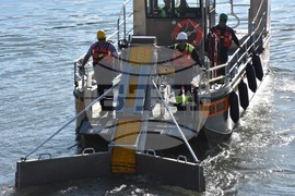 Видин - река Дунав - учение