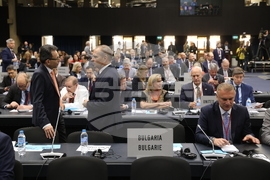 Парламентарна асамблея на НАТО - пленарно заседание