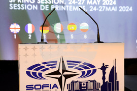 Парламентарна асамблея на НАТО - пленарно заседание