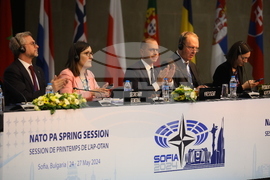 Парламентарна асамблея на НАТО - пленарно заседание