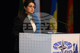 Парламентарна асамблея на НАТО - пленарно заседание