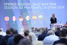 Парламентарна асамблея на НАТО - пленарно заседание