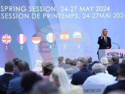 Парламентарна асамблея на НАТО - пленарно заседание