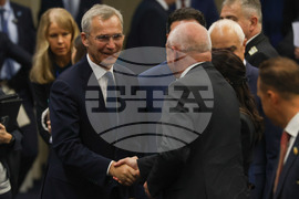 Парламентарна асамблея на НАТО - пленарно заседание