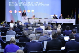 Парламентарна асамблея на НАТО - пленарно заседание