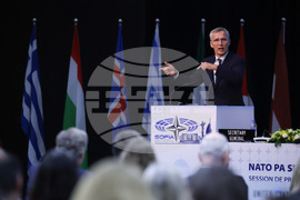 Парламентарна асамблея на НАТО - пленарно заседание