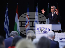 Парламентарна асамблея на НАТО - пленарно заседание