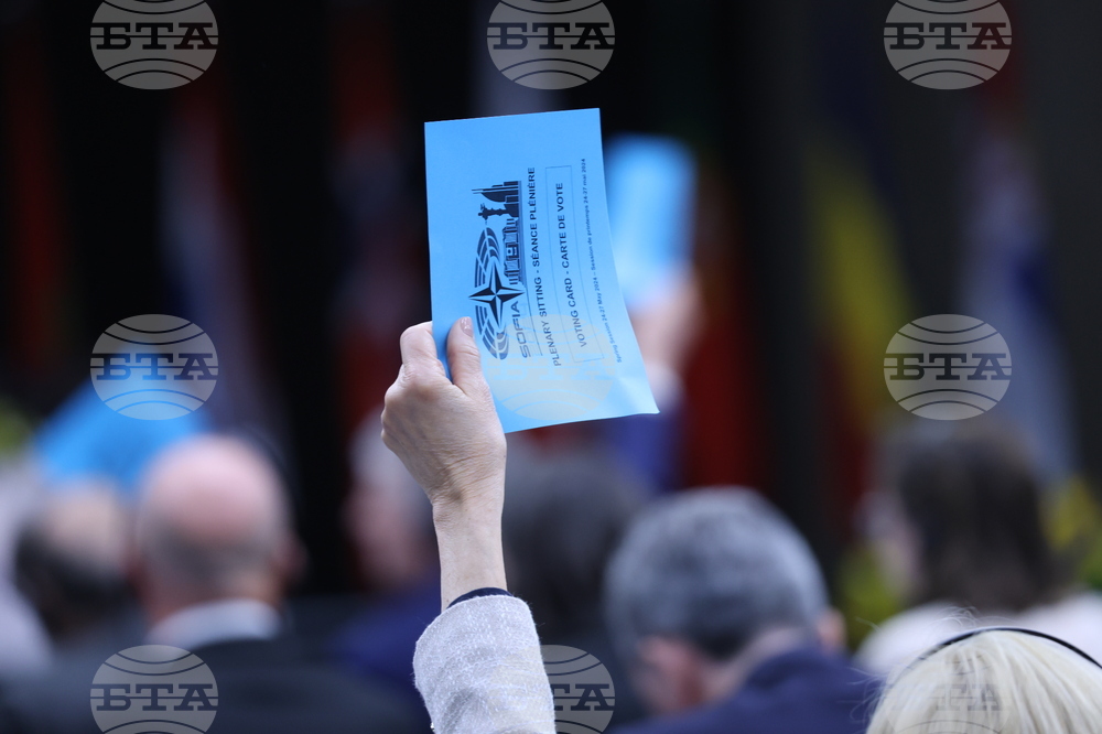 Парламентарна асамблея на НАТО - пленарно заседание