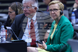 Парламентарна асамблея на НАТО - пленарно заседание