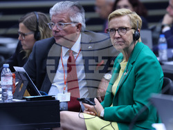 Парламентарна асамблея на НАТО - пленарно заседание