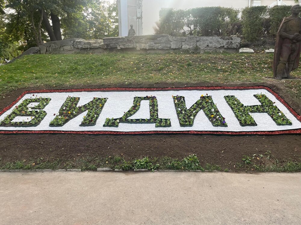 Изписаха „Видин“ с теменужки