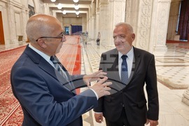 Румъния - румънски парламент - 24 май