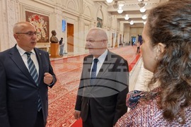 Румъния - румънски парламент - 24 май