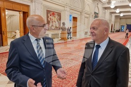 Румъния - румънски парламент - 24 май