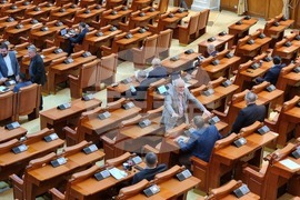 Румъния - румънски парламент