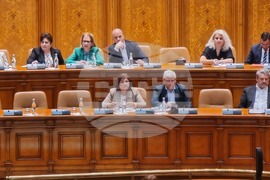 Румъния - румънски парламент - 24 май