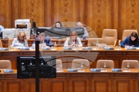 Румъния - румънски парламент - 24 май