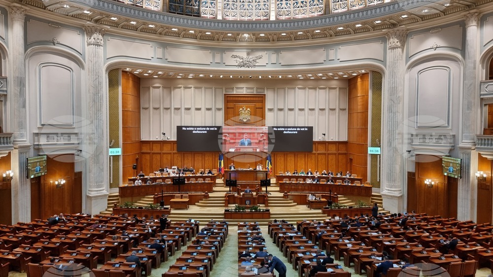 Румъния - румънски парламент - 24 май