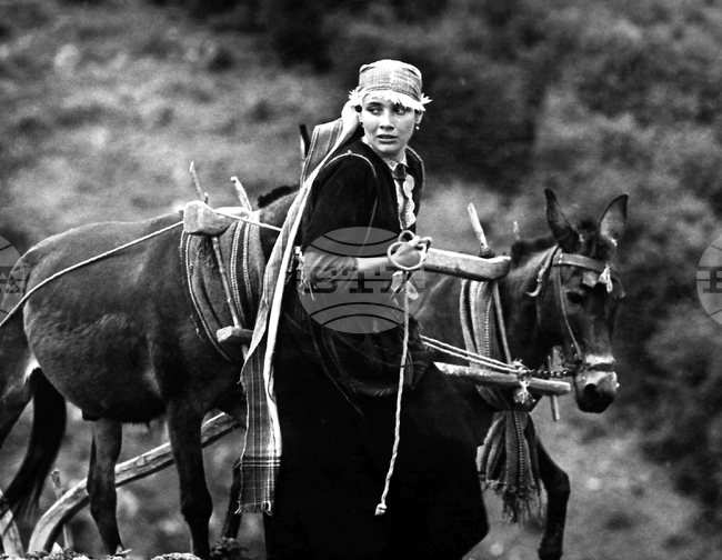 Мариана Димитрова - актриса