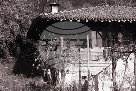 Село Жеравна