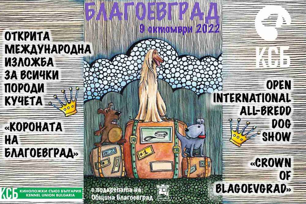 Благоевград е домакин на Международна киноложка изложба