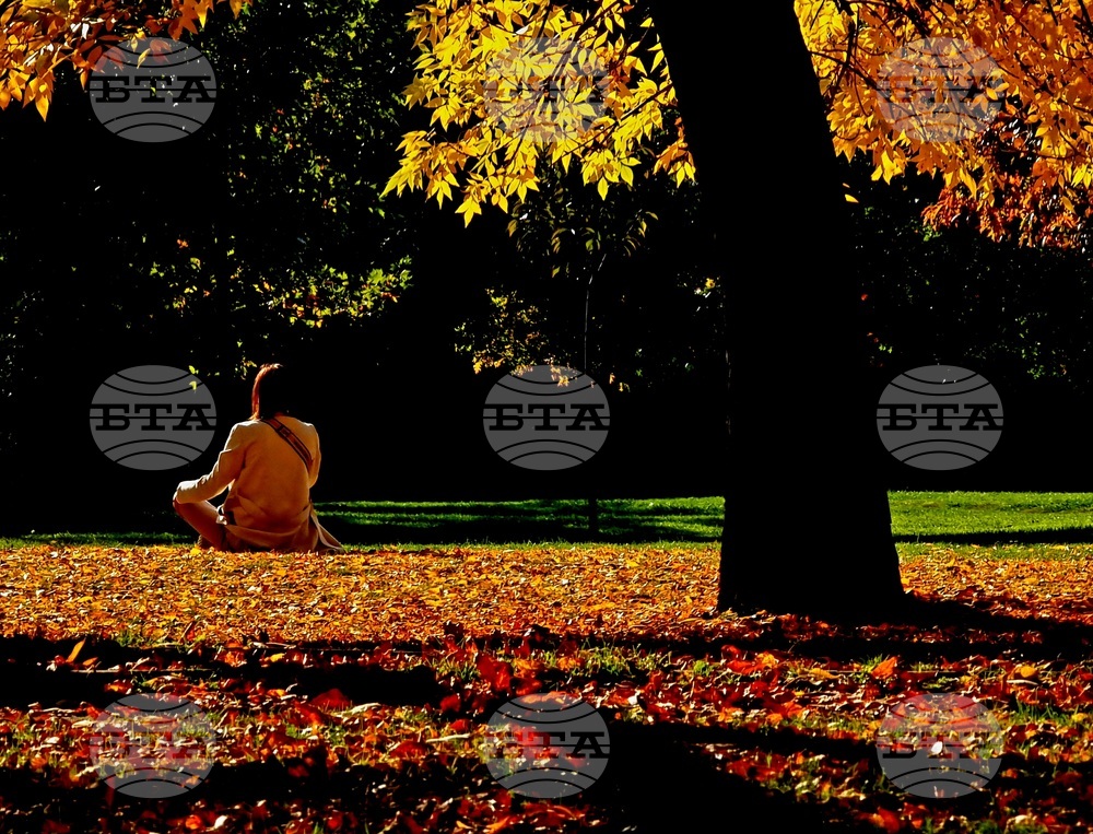 The Weather on Oct. 11