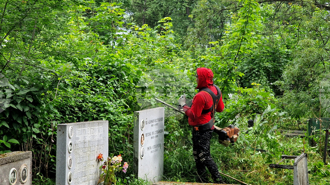 С пет щатни бройки ще бъде увеличена числеността на работещите в общинското предприятие „Гробищни паркове“ в Стара Загора 